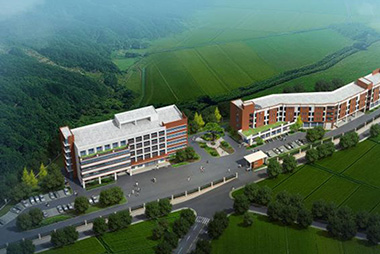佛山市富龍西江特大橋治超及管養房建工程